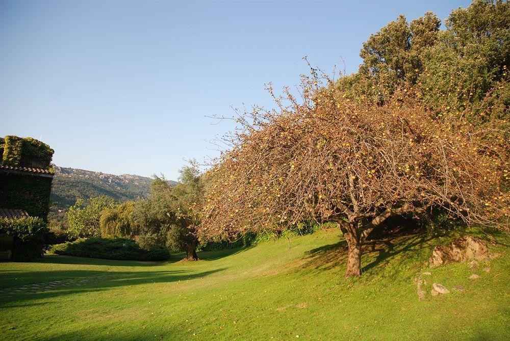 L'Agnata Di De Andre Boutique Hotel Tempio Pausania Bagian luar foto
