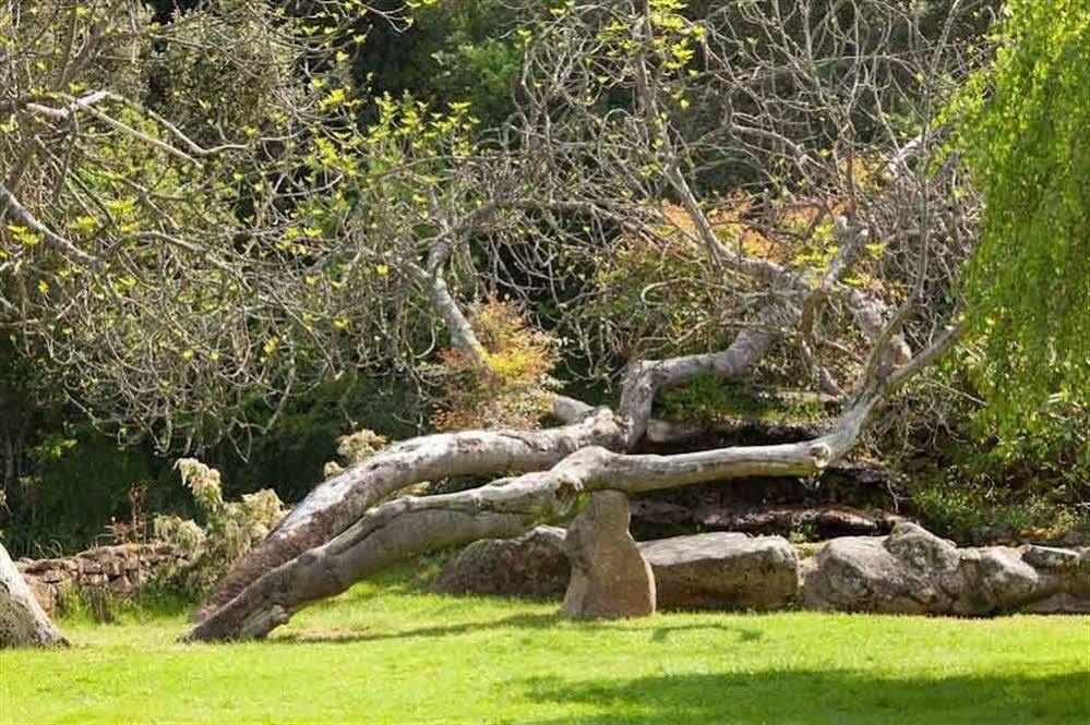 L'Agnata Di De Andre Boutique Hotel Tempio Pausania Bagian luar foto
